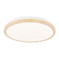 Стельовий LED світильник GANDAVA LED/24W/230V