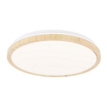 Стельовий LED світильник GANDAVA LED/24W/230V