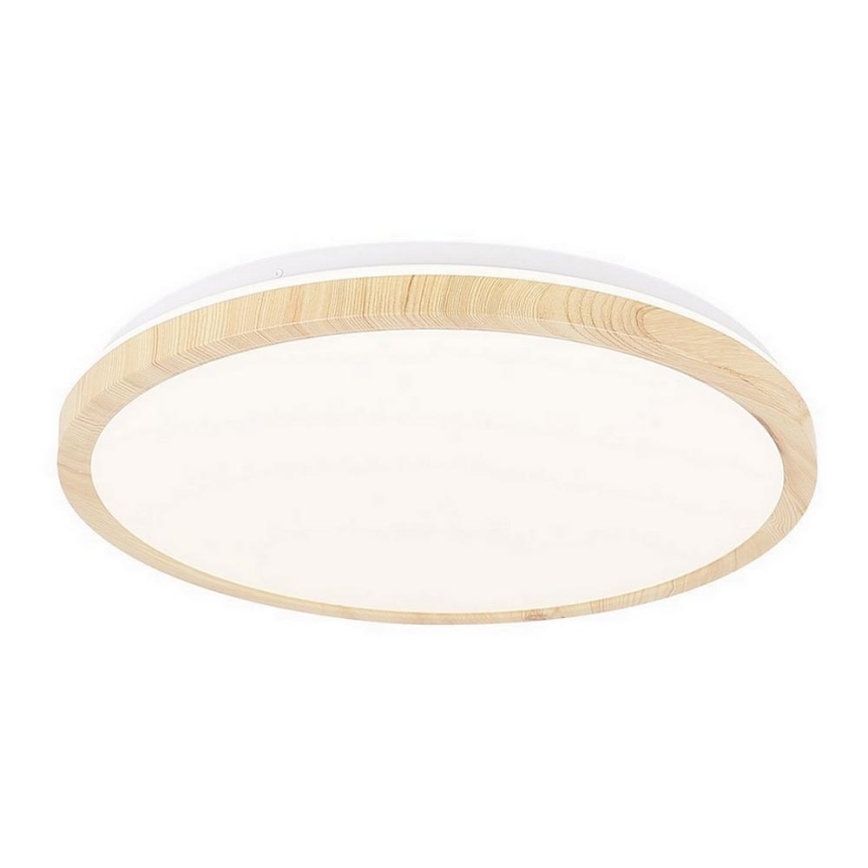 Стельовий LED світильник GANDAVA LED/24W/230V