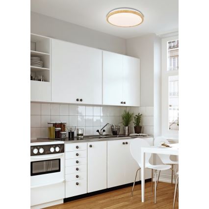 Стельовий LED світильник GANDAVA LED/24W/230V