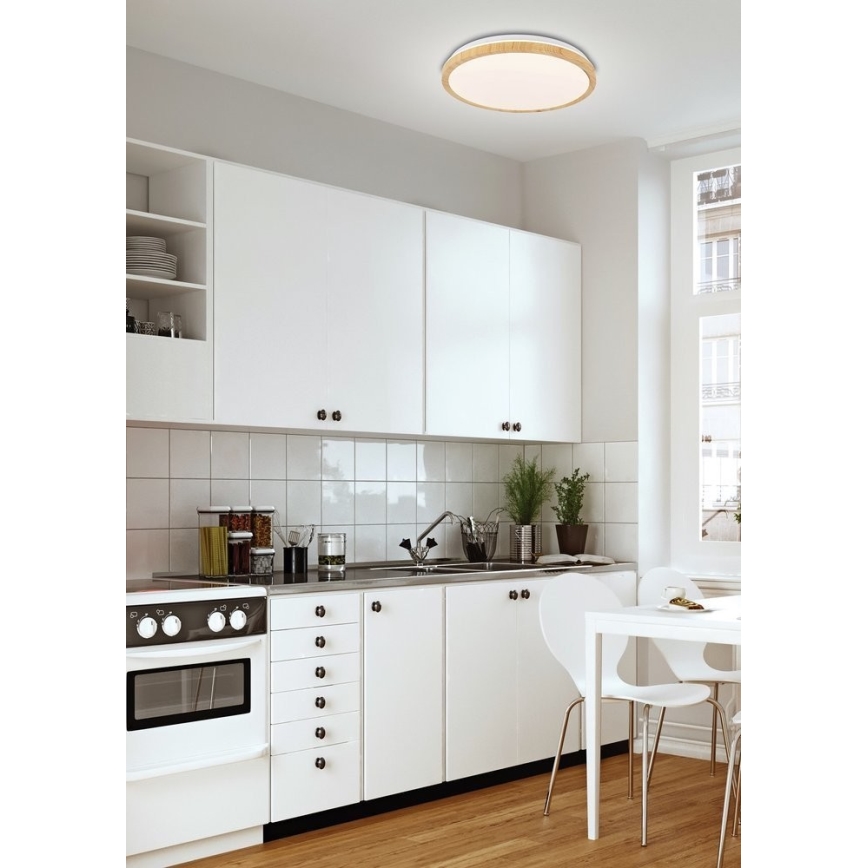 Стельовий LED світильник GANDAVA LED/24W/230V