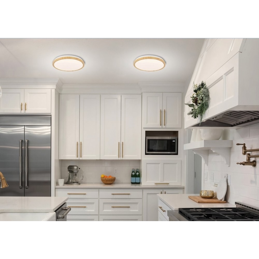 Стельовий LED світильник GANDAVA LED/24W/230V
