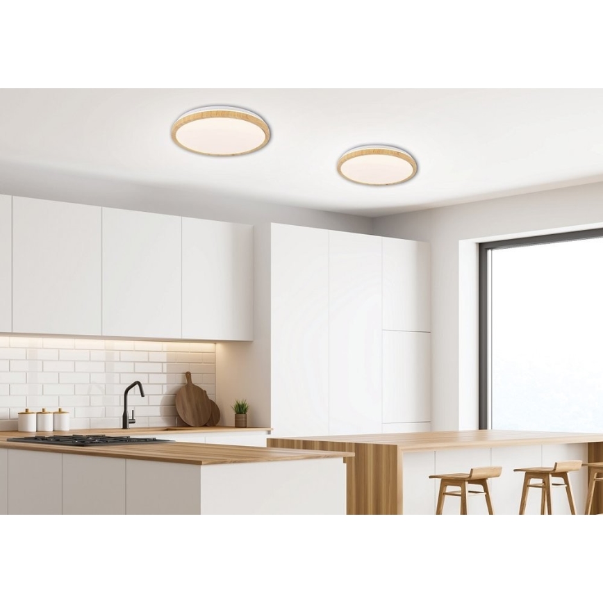 Стельовий LED світильник GANDAVA LED/24W/230V