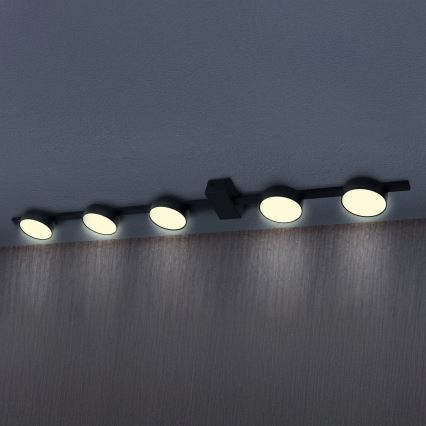 Стельовий LED світильник JOY 5xGX53/6W/230V чорний