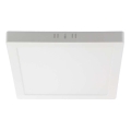 Стельовий LED світильник LED/12W/230V 4000K 16,7x16,7 см білий