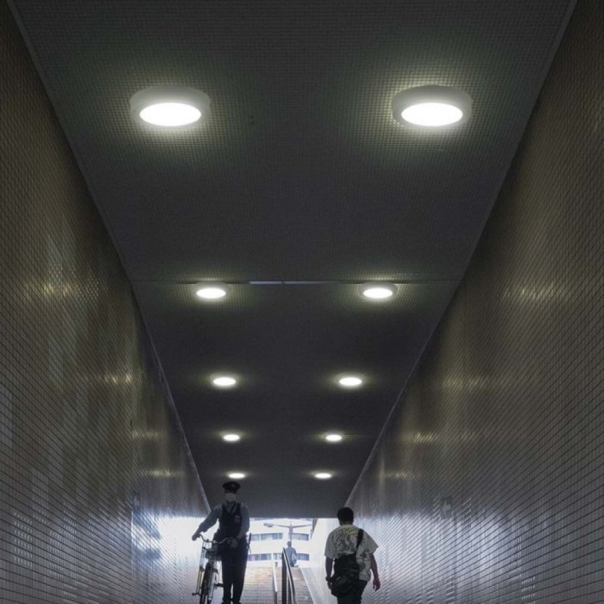 Стельовий LED світильник LED/18W/230V 6500K
