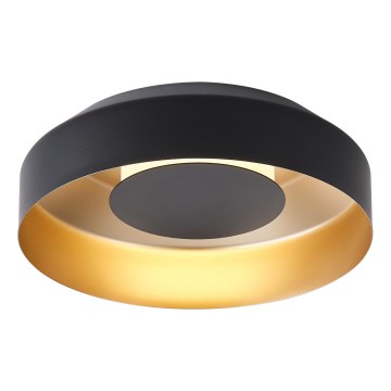Стельовий LED світильник LED/20W/230V 3000K чорний