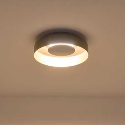 Стельовий LED світильник LED/20W/230V 3000K чорний