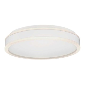 Стельовий LED світильник LED/24W/230V 4000K білий