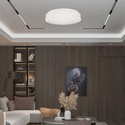 Стельовий LED світильник LED/24W/230V 4000K білий