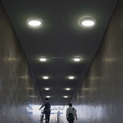 Стельовий LED світильник LED/6W/230V 6500K білий