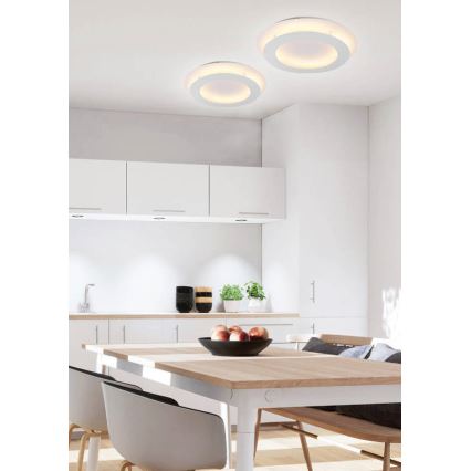 Стельовий LED світильник MERLE LED/18W/230V
