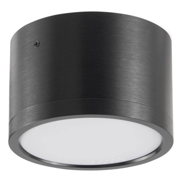 Стельовий LED світильник MIRELLA 1xGX53/6W/230V чорний