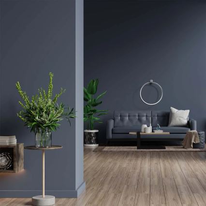Стельовий LED світильник NOEMI LED/20W/230V 4000K діаметр 50 см матовий хром