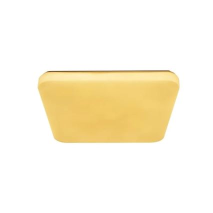 Світлодіодний стельовий світильник з регулюванням яскравості OPAL LED/60W/230V 3000-6500K + пульт дистанційного керування