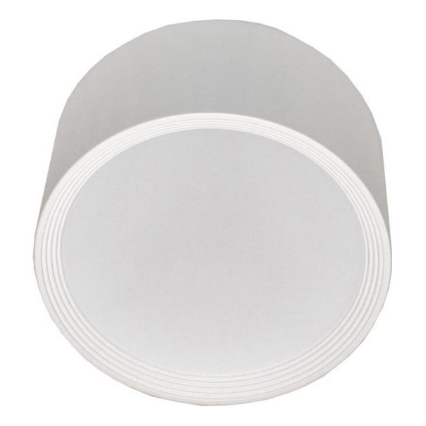 Стельовий LED світильник PERCI LED/30W/230V IP40 4000K білий