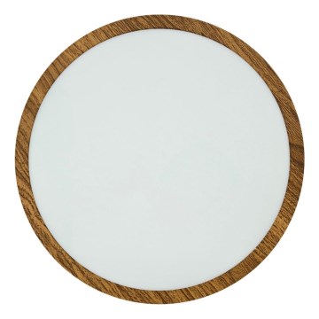 Стельовий LED світильник RING LED/24W/230V 4200K діаметр 28,5 см коричневий