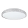 Стельовий LED світильник SHINY LED/34W/230V прозорий