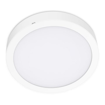 Стельовий LED світильник SIGARO CIRCLE LED/18W/230V 4000K IP40