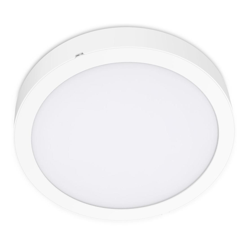 Стельовий LED світильник SIGARO CIRCLE LED/24W/230V 4000K IP40
