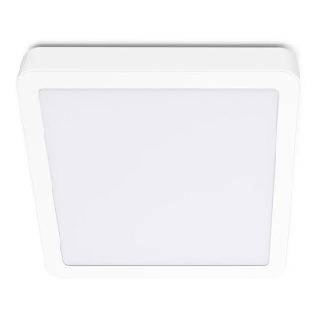Стельовий LED світильник SIGARO SQUARE LED/24W/230V 4000K IP40