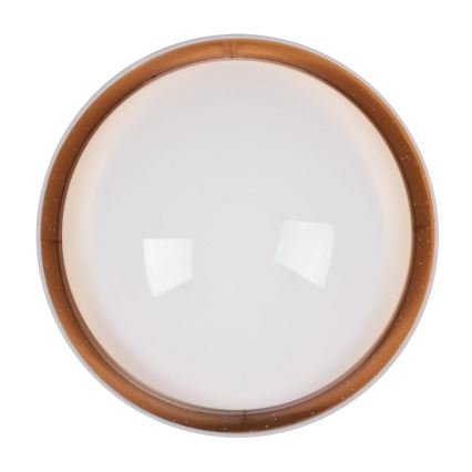 Стельовий LED світильник TULUZA LED/24W/230V діаметр 40 см білий
