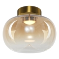 Стельовий LED світильник VASO LED/4W/230V діаметр 18 см золотий/димчастий