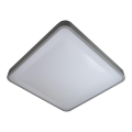 Стельовий LED світильник WILTON LED/24W/230V 37,5x37,5 см сірий