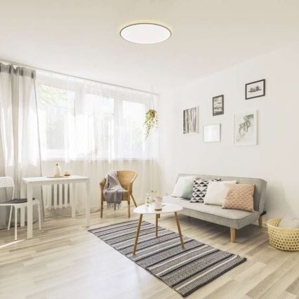 Стельовий LED світильник з регулюванням яскравості LED/24W/230V + дистанційне керування круглий