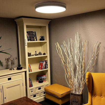 Стельовий LED світильник з регулюванням яскравості LED/48W/230V 2700-6500K Wi-Fi Tuya + дистанційне керування