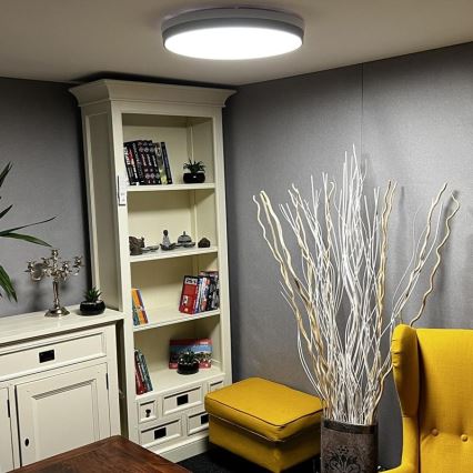 Стельовий LED світильник з регулюванням яскравості LED/48W/230V 2700-6500K Wi-Fi Tuya + дистанційне керування