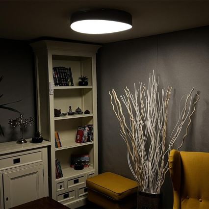 Стельовий LED світильник з регулюванням яскравості LED/48W/230V 2700-6500K Wi-Fi Tuya + дистанційне керування