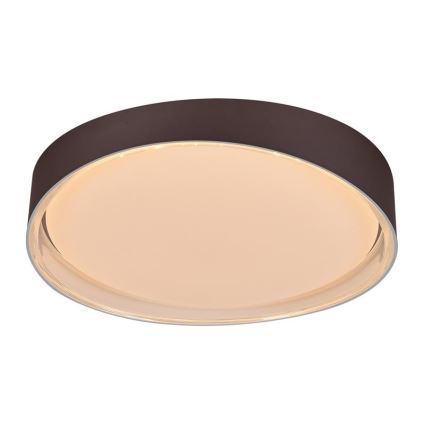 Стельовий LED світильник з регулюванням яскравості LED/48W/230V 2700-6500K Wi-Fi Tuya + дистанційне керування