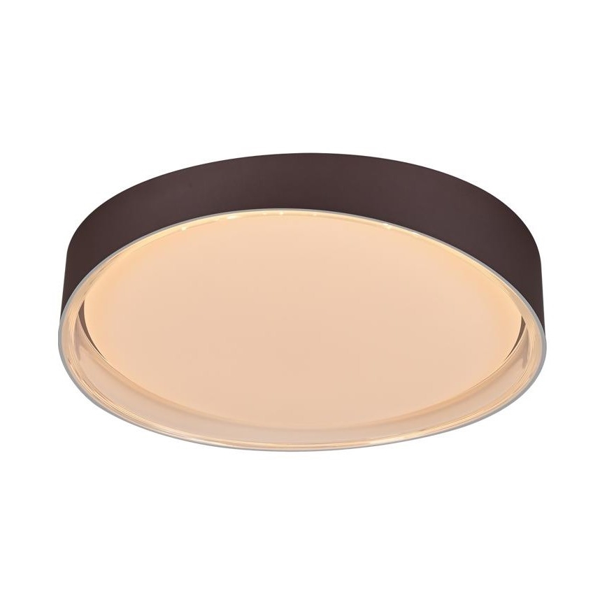 Стельовий LED світильник з регулюванням яскравості LED/48W/230V 2700-6500K Wi-Fi Tuya + дистанційне керування