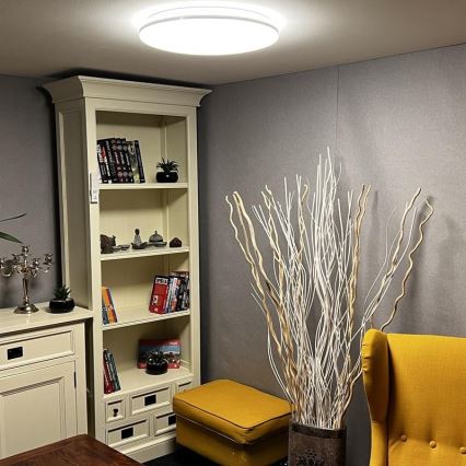 Стельовий LED світильник з регулюванням яскравості LED/48W/230V 2700-6500K Wi-Fi Tuya + дистанційне керування