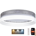 Стельовий LED світильник з регулюванням яскравості LIMA LED/36W/230V 2700-6500K Wi-Fi Tuya + дистанційне керування сріблястий/білий