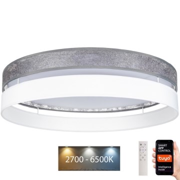 Стельовий LED світильник з регулюванням яскравості LIMA LED/36W/230V 2700-6500K Wi-Fi Tuya + дистанційне керування сріблястий/білий