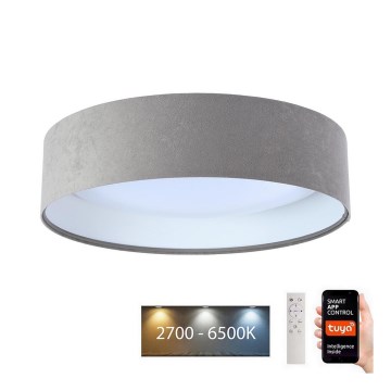 Стельовий LED світильник з регулюванням яскравості SMART GALAXY LED/24W/230V ⌀ 45 см 2700-6500K Wi-Fi Tuya сірий/білий + дистанційне керування