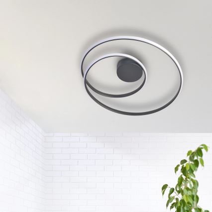 Стельовий LED світильник ZEFIRA LED/40W/230V 4000K діаметр 50 см антрацит