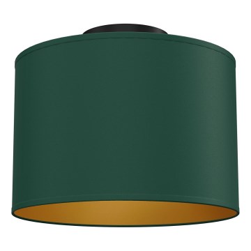 Стельовий світильник ARDEN, 1xE27/15W/230V, діаметр 25 см, зелений