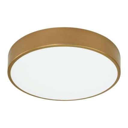 Стельовий світильник CLEO 4xE27/24W/230V ⌀ 50 см золотий