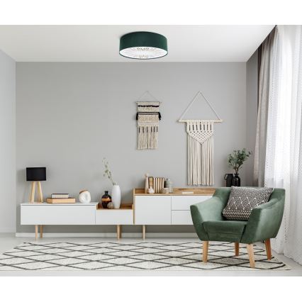 Стельовий світильник RAYS 2xE27/60W/230V діаметр 40 см зелений