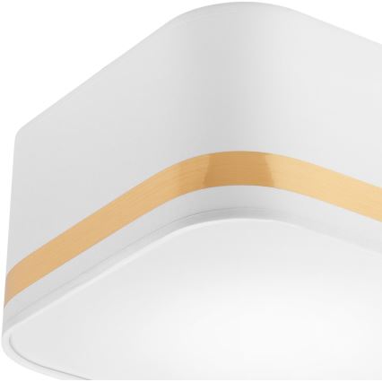Стельовий світильник SIRJA SQUARE STRIPE 2xE27/15W/230V білий/золотий