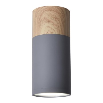 Стельовий світильник TUBA GU10/15W/230V