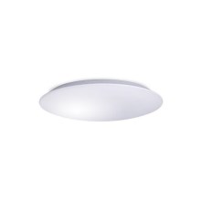 Стельовий LED світильник для ванної AVESTA LED/12W/230V IP54