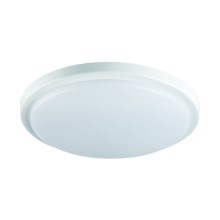 Стельовий LED світильник для ванної ORTE LED/18W/230V IP54