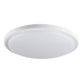 Стельовий LED світильник для ванної ORTE LED/24W/230V IP54