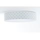 Стельовий LED світильник GALAXY KIDS LED/24W/230V зірочки білий/бірюзовий