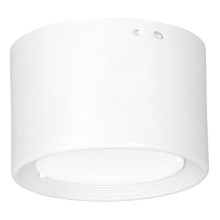 Стельовий LED світильник LED/6W/230V білий діаметр 8 см