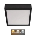 Стельовий LED світильник NEXXO LED/12,5W/230V 3000/3500/4000K 17x17 см чорний